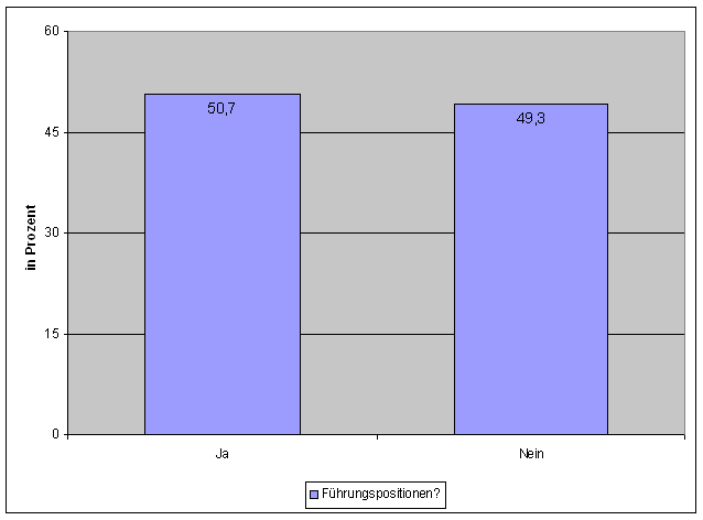 Frage 19: Berufserfahrung — Diagramm